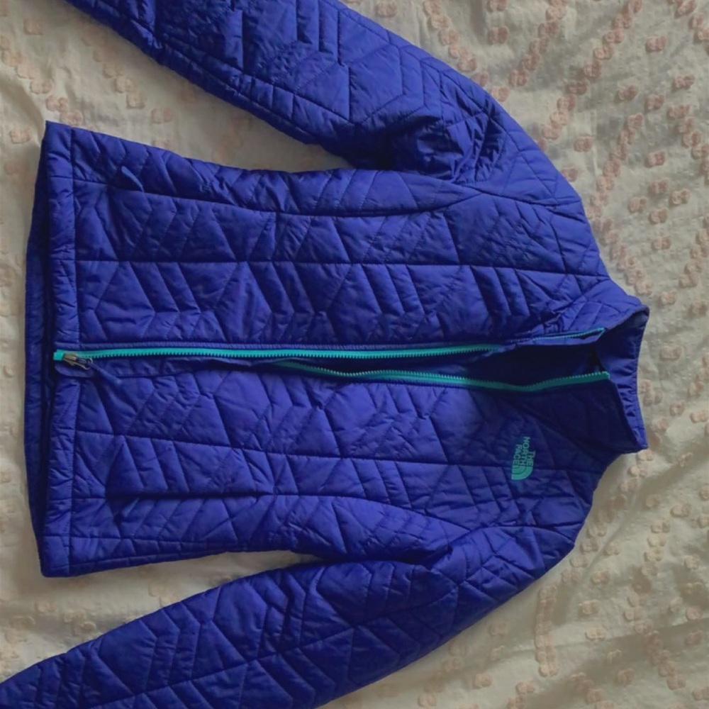 purple/blue/teal north face coat/puffer